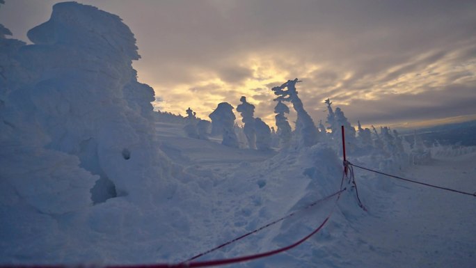 山顶雪树，银装素裹，寒风泠冽 4k30p