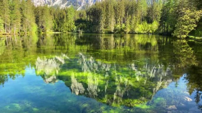 奥地利绿色湖原始森林山脚下和谈河流