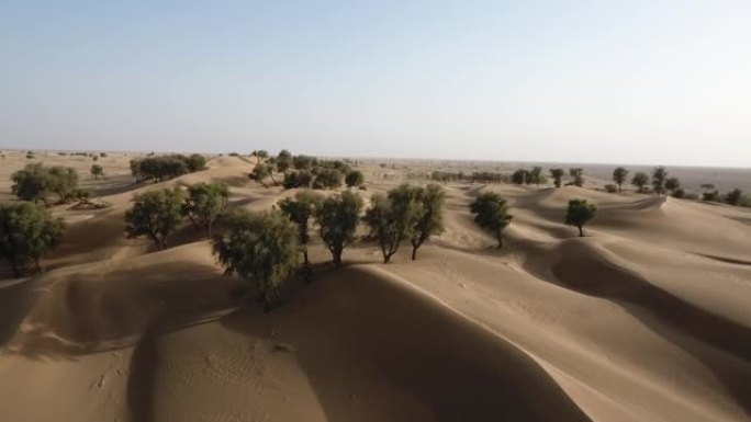 阿曼苏丹国赫马沙漠，树木，旱地和红沙丘中无人机的惊人快照
