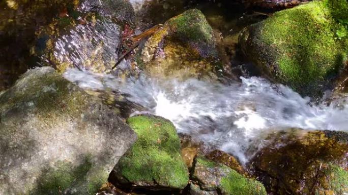 穿过森林的山涧山泉水森林溪流纯净水源