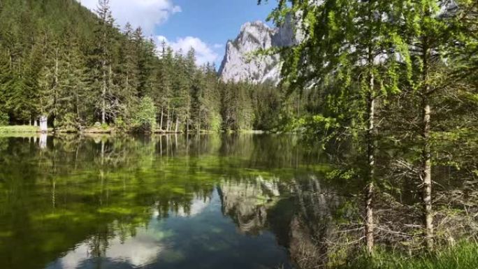 奥地利绿色湖美丽风景清新空气山清水秀