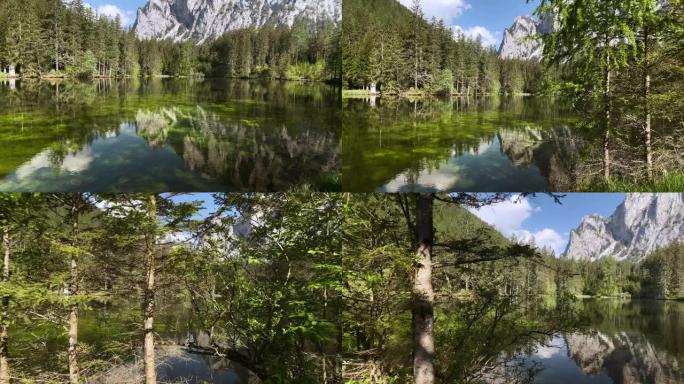 奥地利绿色湖美丽风景清新空气山清水秀