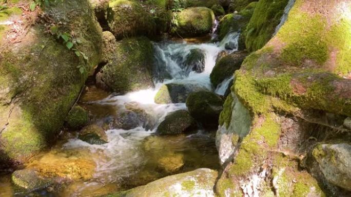 穿过森林的山涧森林海氧吧瀑布溪流水