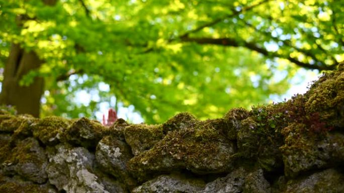 一名男子在湖边一个奇妙的公园里看着一堵古老的大石头墙，上面覆盖着青苔，上面铺着大大小小的石头