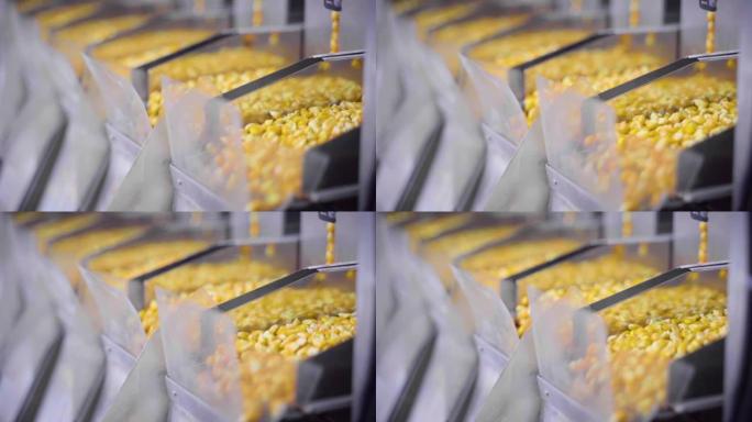 玉米加工厂。机器玉米筛选最优质的产品。