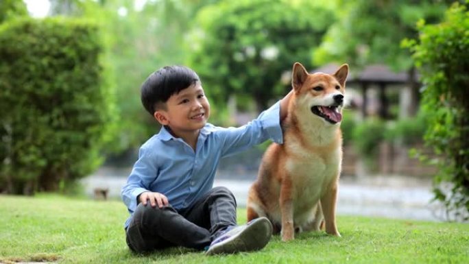 一个亚洲男孩坐着拥抱一只柴犬。春天在公园里