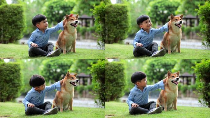 一个亚洲男孩坐着拥抱一只柴犬。春天在公园里