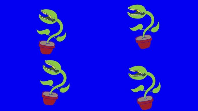捕蝇草手绘蓝屏。浮动循环动画