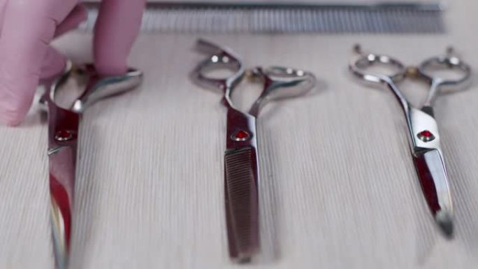 桌子上有三把美容剪刀。一只戴着粉红色手套的手从桌子上拿了剪刀