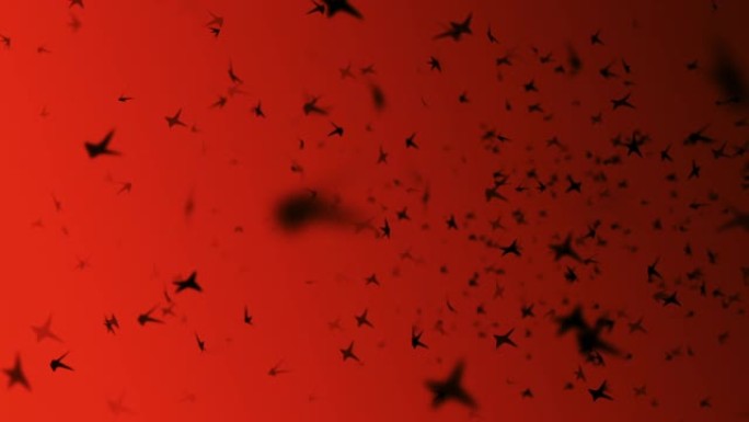 红色天空动画中的鸟群
