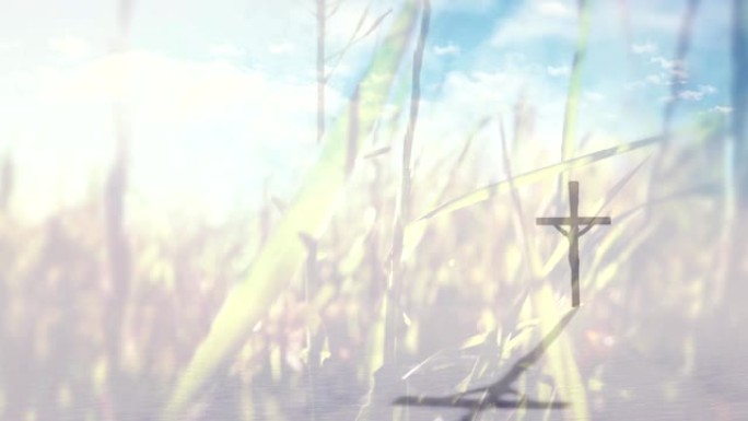 基督教徒的十字架在春天的草地上的动画