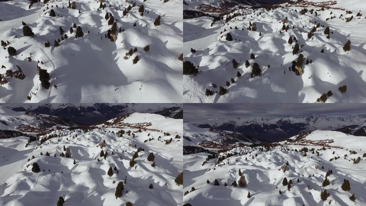 雪上滑雪道和枞树的鸟瞰图