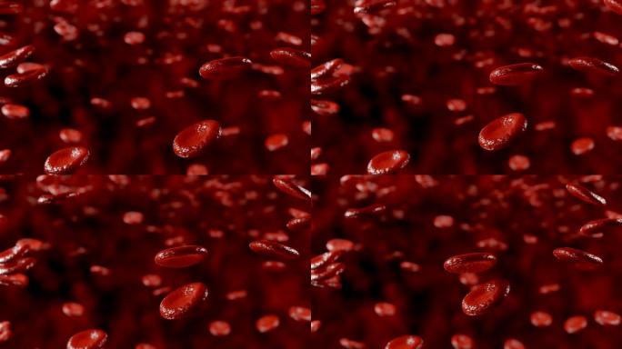 红细胞或红细胞。它是血液的主要成分。
