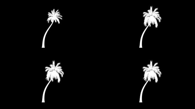 椰树延时生长，黑色轮廓