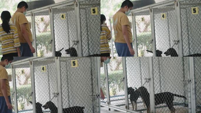 亚洲女孩和她的兄弟在笼子里看着无家可归的狗，慢动作。
