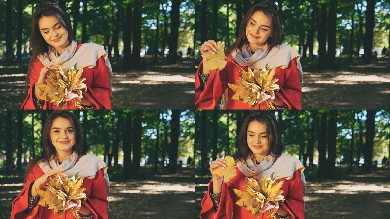 可爱的女孩拿着一堆秋叶，把它们挑出来。背景模糊。特写。复制空间。4K。