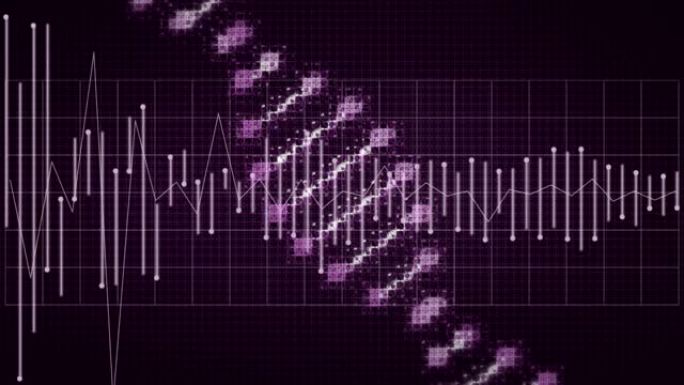 在紫色背景上上下波动的DNA菌株旋转的动画