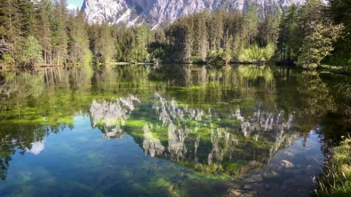 奥地利绿色湖自然美河流倒影野外山林
