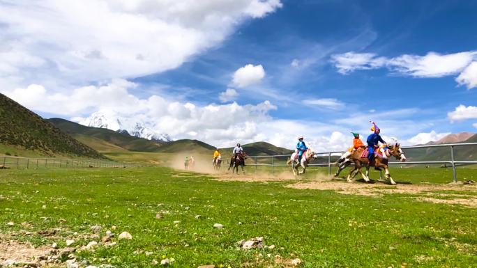 西藏赛马节 草原赛马 草原骑马