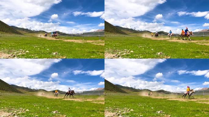 西藏赛马节 草原赛马 草原骑马
