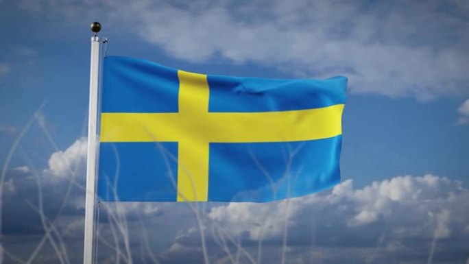 瑞典国旗与蓝色的天空在夏季-视频动画