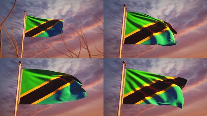 坦桑尼亚国旗在日落戏剧性的天空-动画镜头