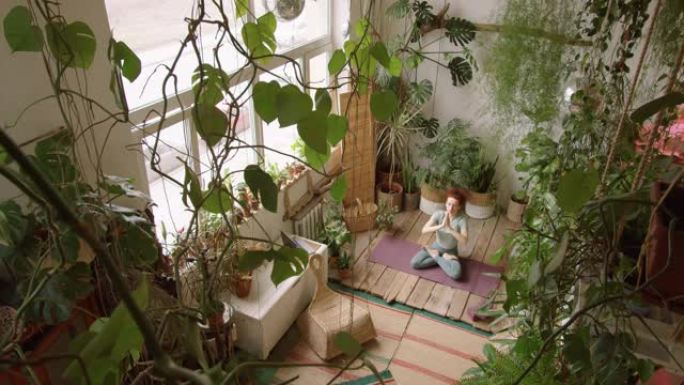 在充满植物的房间里练习瑜伽的女人的高角度视图