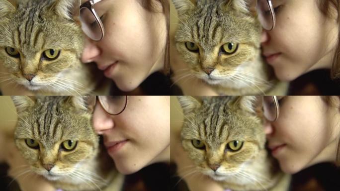 一个戴眼镜的年轻女子将猫压在她的脸上。英国品种猫拥抱一个女人。慢动作