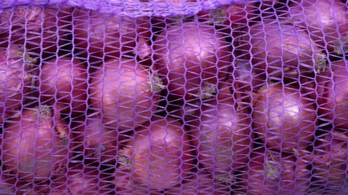 紫色洋葱在网上收获