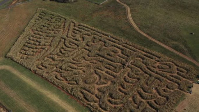 玉米迷宫，平原，弗吉尼亚，美国