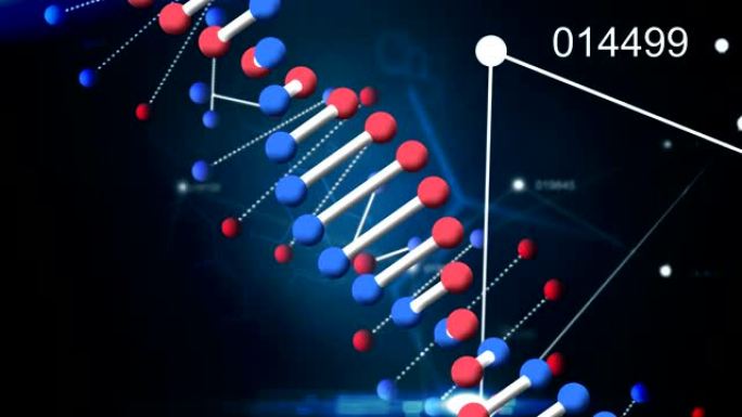 带有蓝色和黑色背景上的连接网的DNA菌株旋转的动画