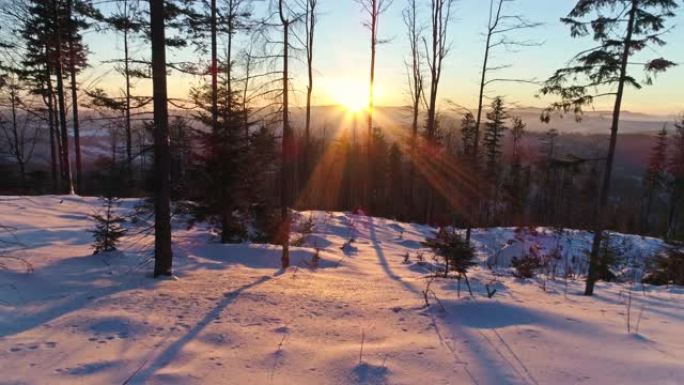 美丽的日落冬季全景天线4k
