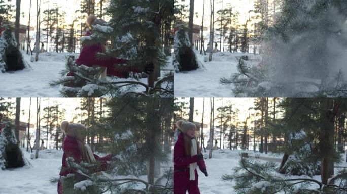 女孩摇晃松树干并导致降雪