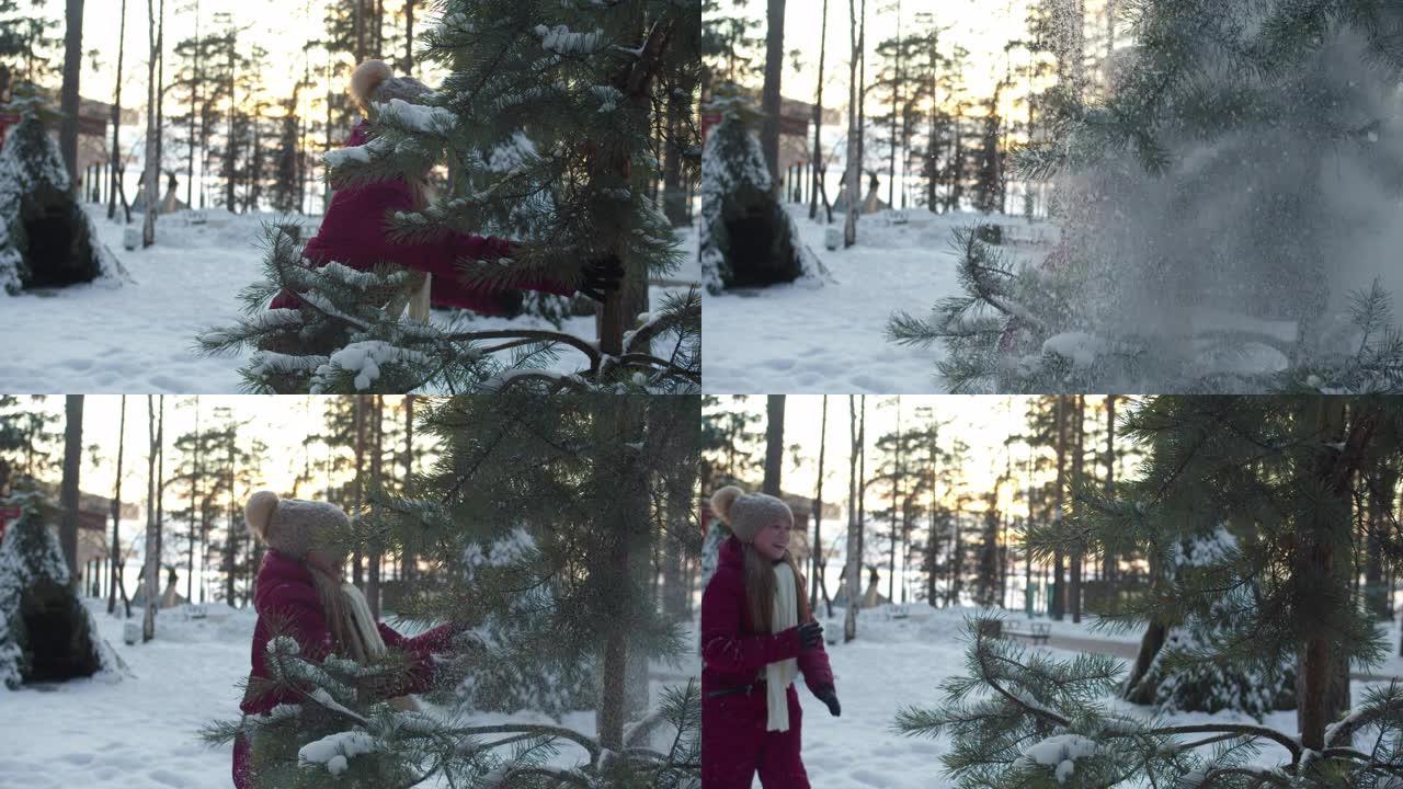 女孩摇晃松树干并导致降雪