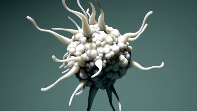 树突状细胞，免疫系统的细胞，运动4k