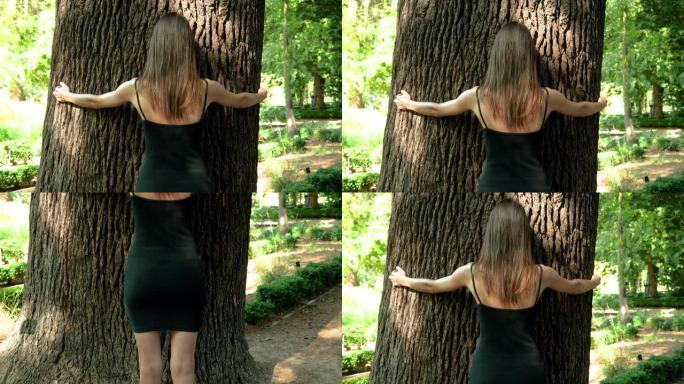 在阳光明媚的夏日，一个苗条的美丽女孩在公园里拥抱着一棵大雪松树干。人与自然的统一概念。马德里。西班牙
