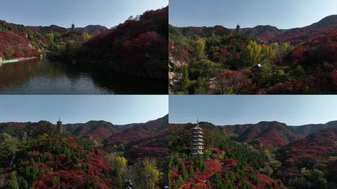 济南风景 红叶谷 秋天 4k航拍 05