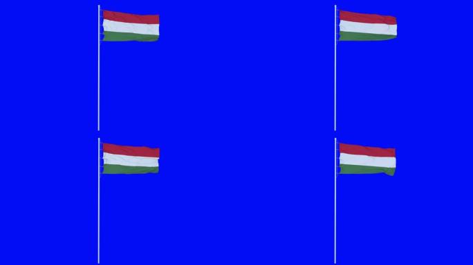 匈牙利国旗迎风飘扬在蓝屏或色度键背景上。4 k的动画