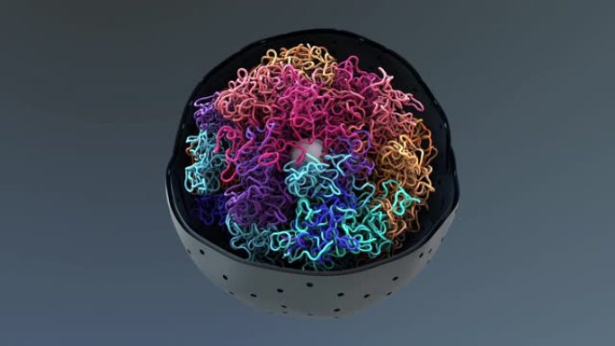 染色体，DNA，细胞将DNA包装到细胞核中