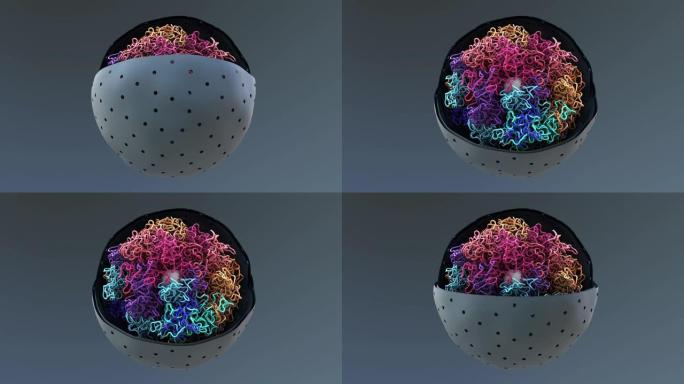 染色体，DNA，细胞将DNA包装到细胞核中