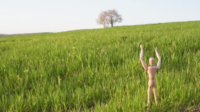 有关节的小矮人站在田野里