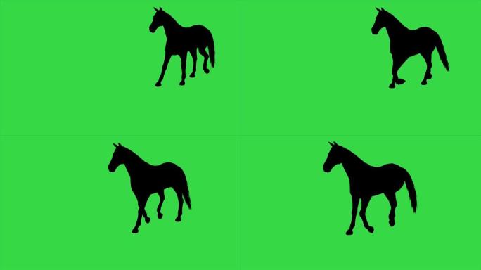 绿色屏幕上移动的马剪影4k动画