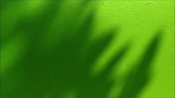 在明亮的绿色墙壁上摇曳的树影