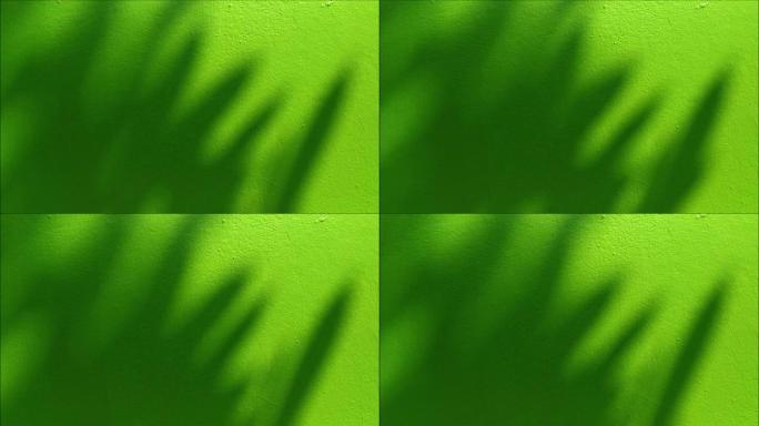 在明亮的绿色墙壁上摇曳的树影