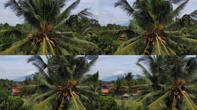 无人机的巴厘岛村