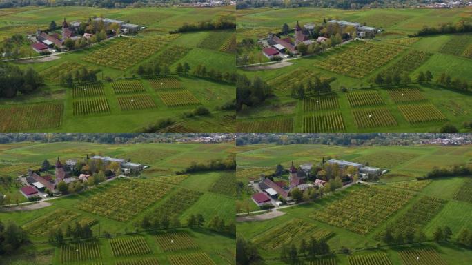 德国莱茵兰村庄和葡萄园周围的鸟瞰图