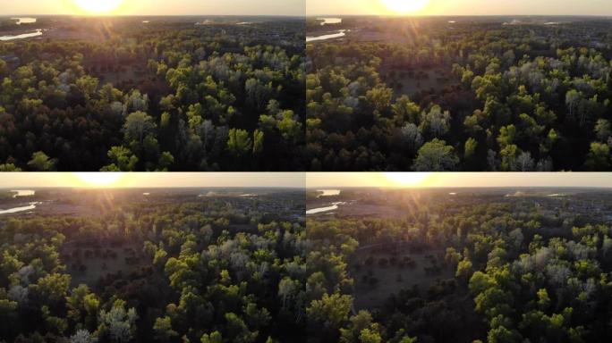 日落时无人机在森林上方进行空中勘测。