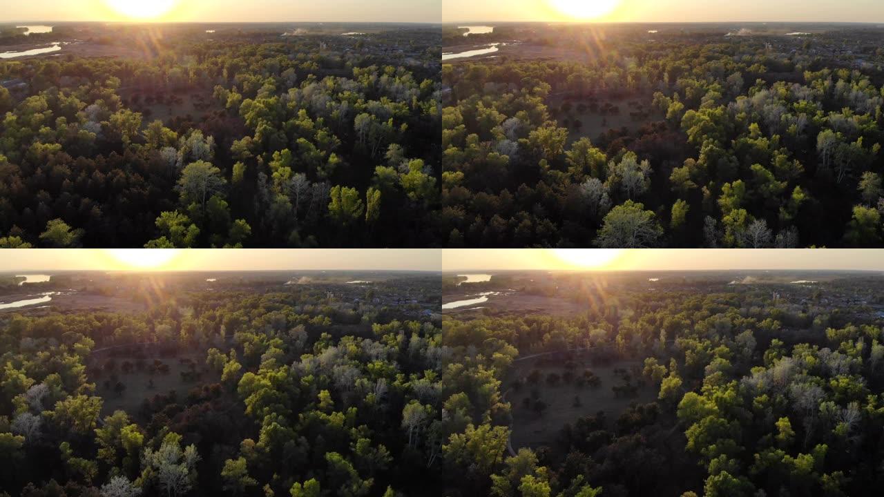 日落时无人机在森林上方进行空中勘测。
