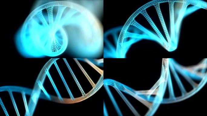 DNA分子螺旋结构