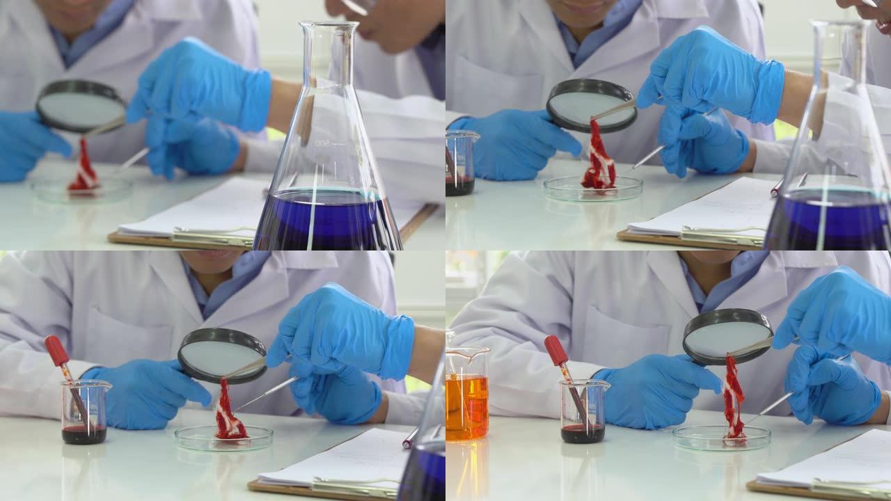 科学家或生物学家在研究实验室工作，平移镜头